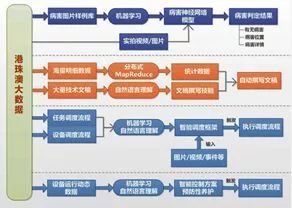 新澳精准资料免费提供221期,结构化推进评估_C版63.800