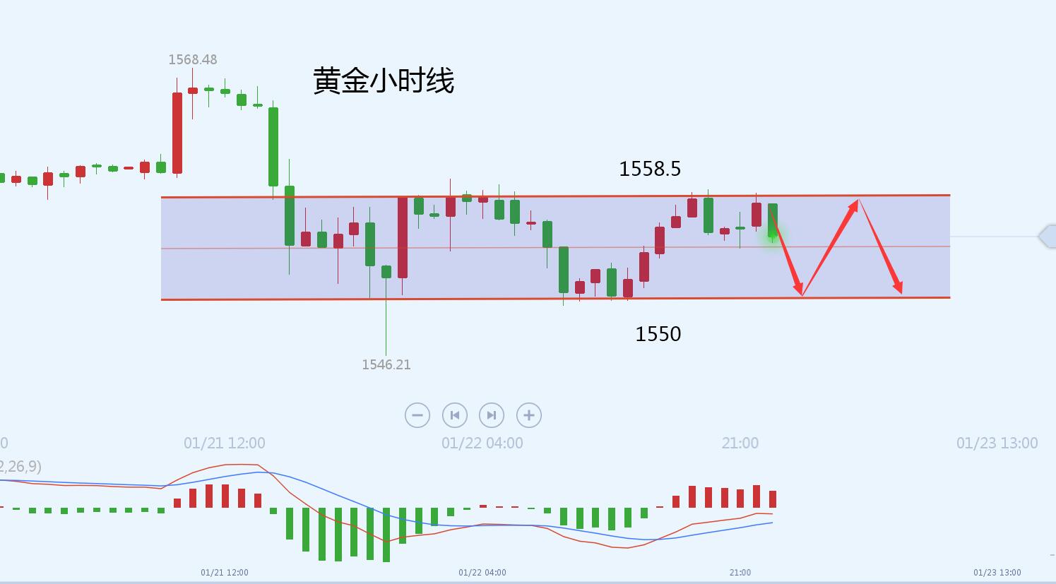 新澳门生肖走势图分析,国产化作答解释定义_扩展版28.495