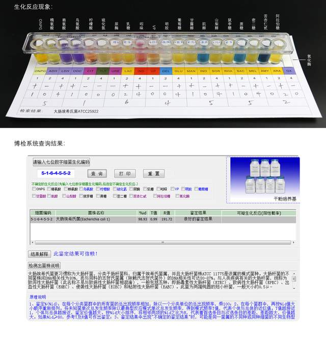 新澳门六开奖结果资料查询,实地验证策略方案_Surface48.48